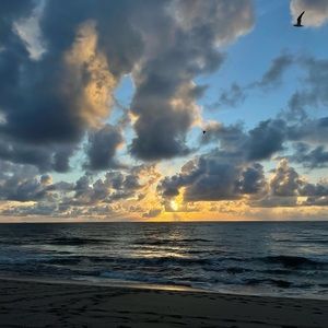 Meet your Posher, Kelcey